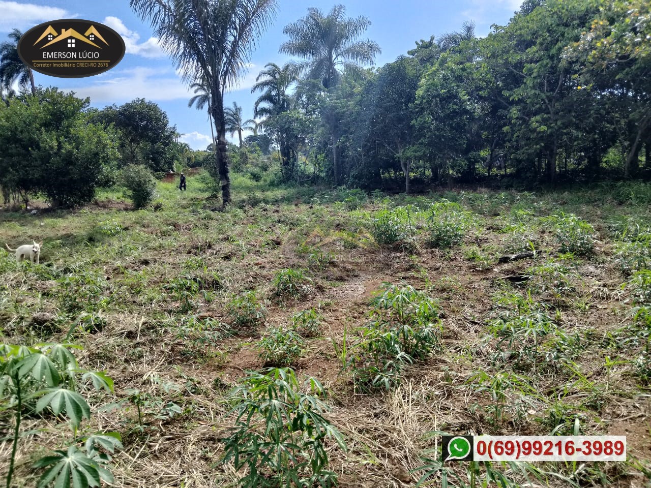 Imagem Chácara à Venda, 3 m²em Areia Branca - Porto Velho Imagem Chácara à Venda, 3 m²em Areia Branca - Porto Velho