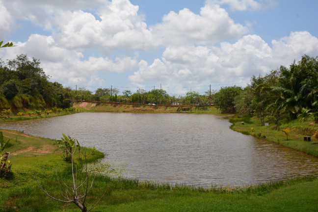 Imagem Terreno à Venda, em Manassu - Jaboatão dos Guararapes Imagem Terreno à Venda, em Manassu - Jaboatão dos Guararapes
