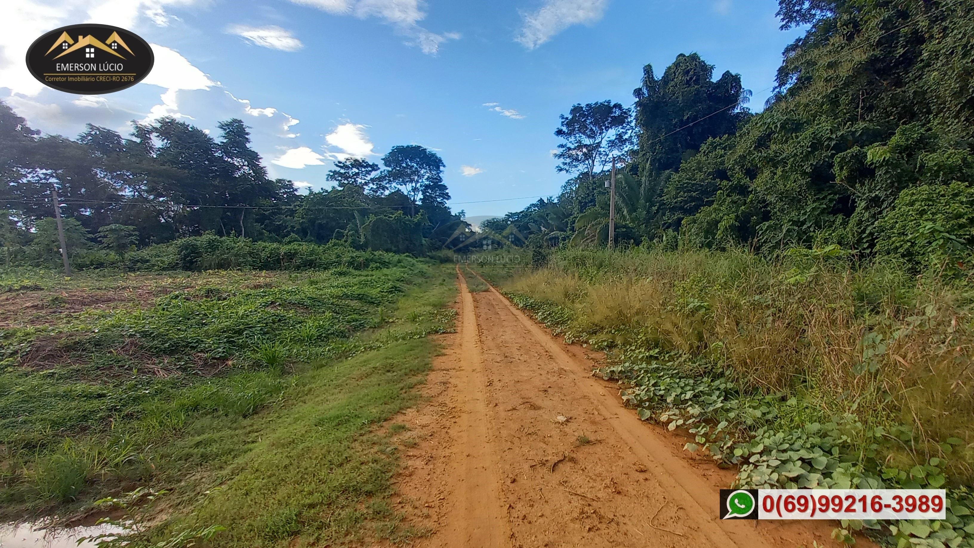 Imagem Fazenda à Venda, 50 HAem Rio Madeira - Porto Velho