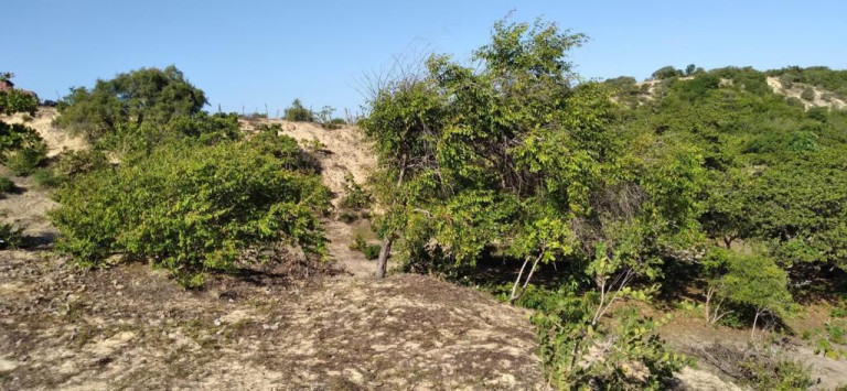 Imagem Terreno à Venda, 5.658 m²em Pajuçara - Natal Imagem Terreno à Venda, 5.658 m²em Pajuçara - Natal