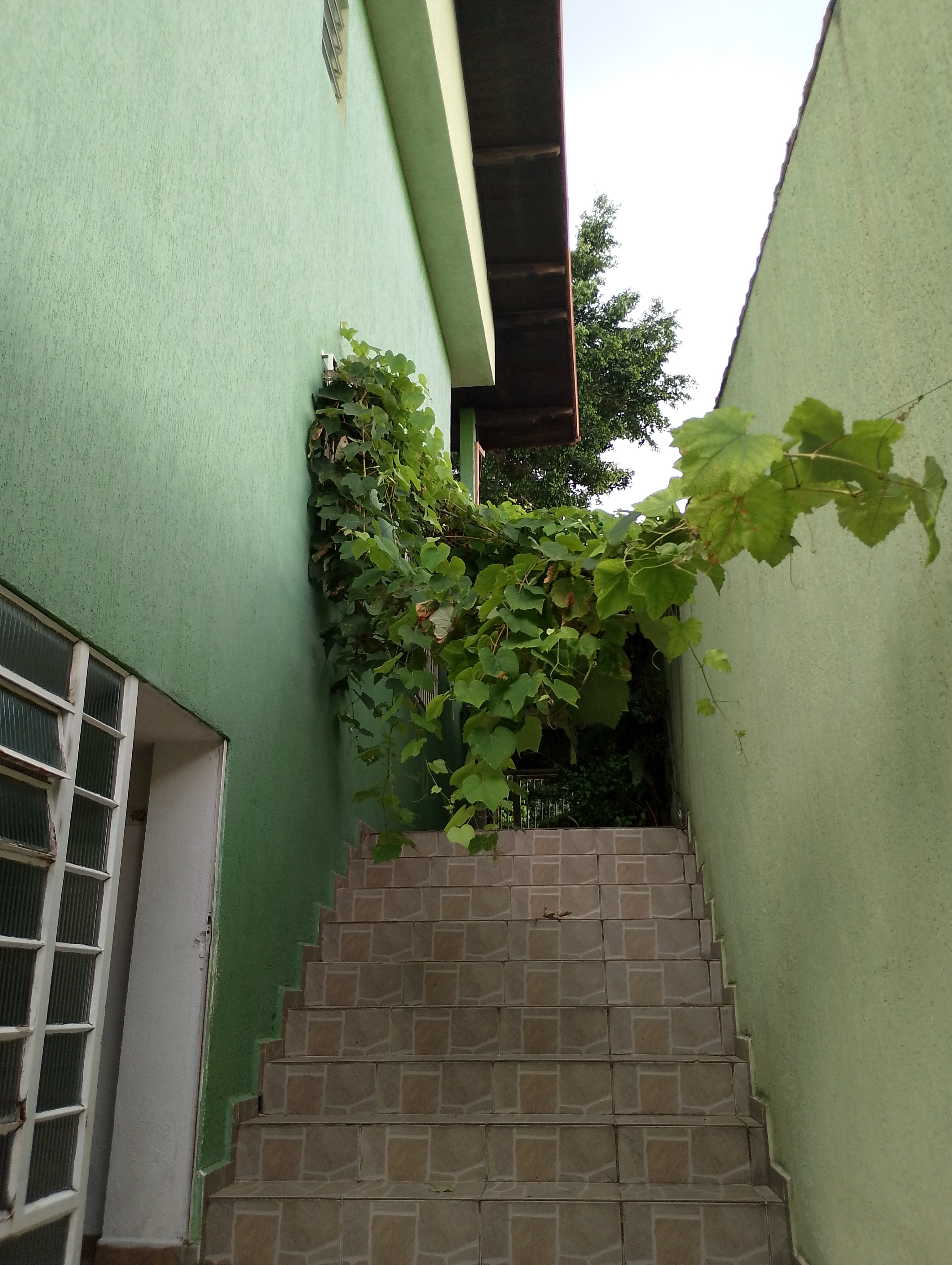 Imagem Sobrado com 2 Quartos à Venda ou Locação, 100 m²em Vila Vitória - Mogi das Cruzes