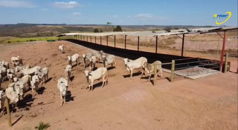 Imagem Fazenda à Venda, 297 HAem Paranoá - Brasília Imagem Fazenda à Venda, 297 HAem Paranoá - Brasília