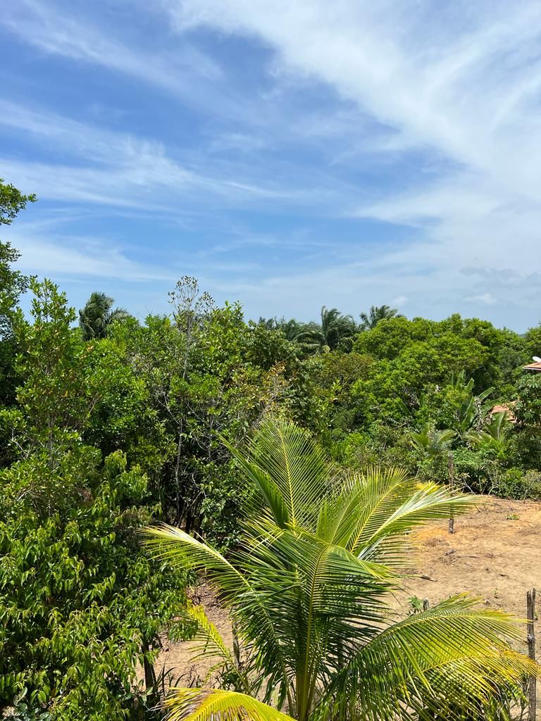 Imagem Terreno à Venda, 310 m²em Velha Boipeba - Cairu Imagem Terreno à Venda, 310 m²em Velha Boipeba - Cairu