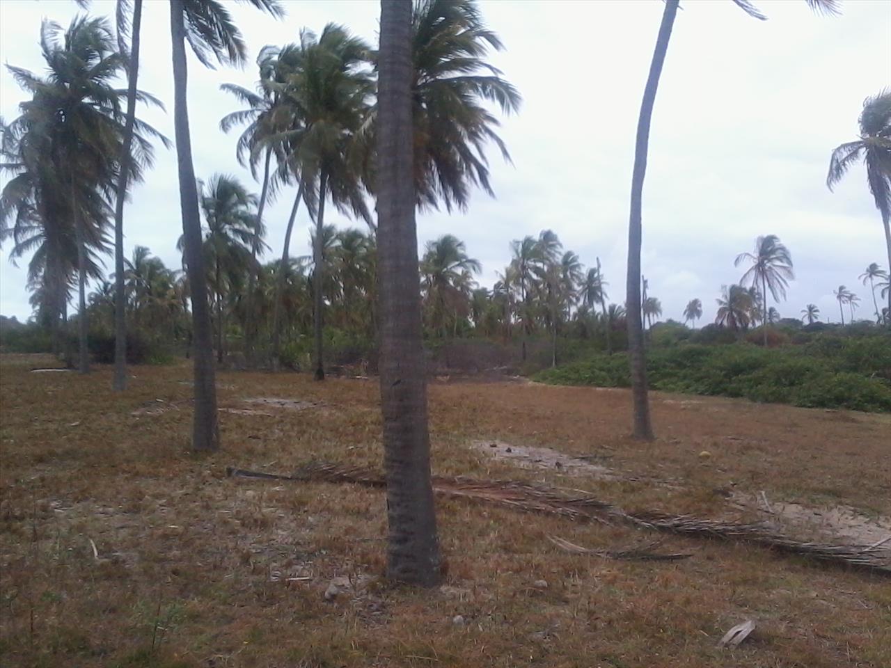 Imagem Terreno à Venda, 168.640 metro em Praia de Pititinga - Rio do Fogo Imagem Terreno à Venda, 168.640 metro em Praia de Pititinga - Rio do Fogo