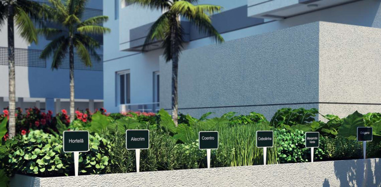 Imagem Apartamento com 2 Quartos à Venda, 42 m² em Jabaquara - Santos Imagem Apartamento com 2 Quartos à Venda, 42 m² em Jabaquara - Santos