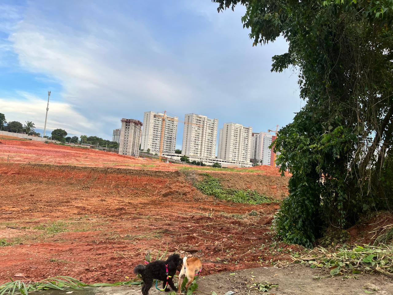 Imagem Terreno à Venda, 312 m²em Ponta Negra - Manaus