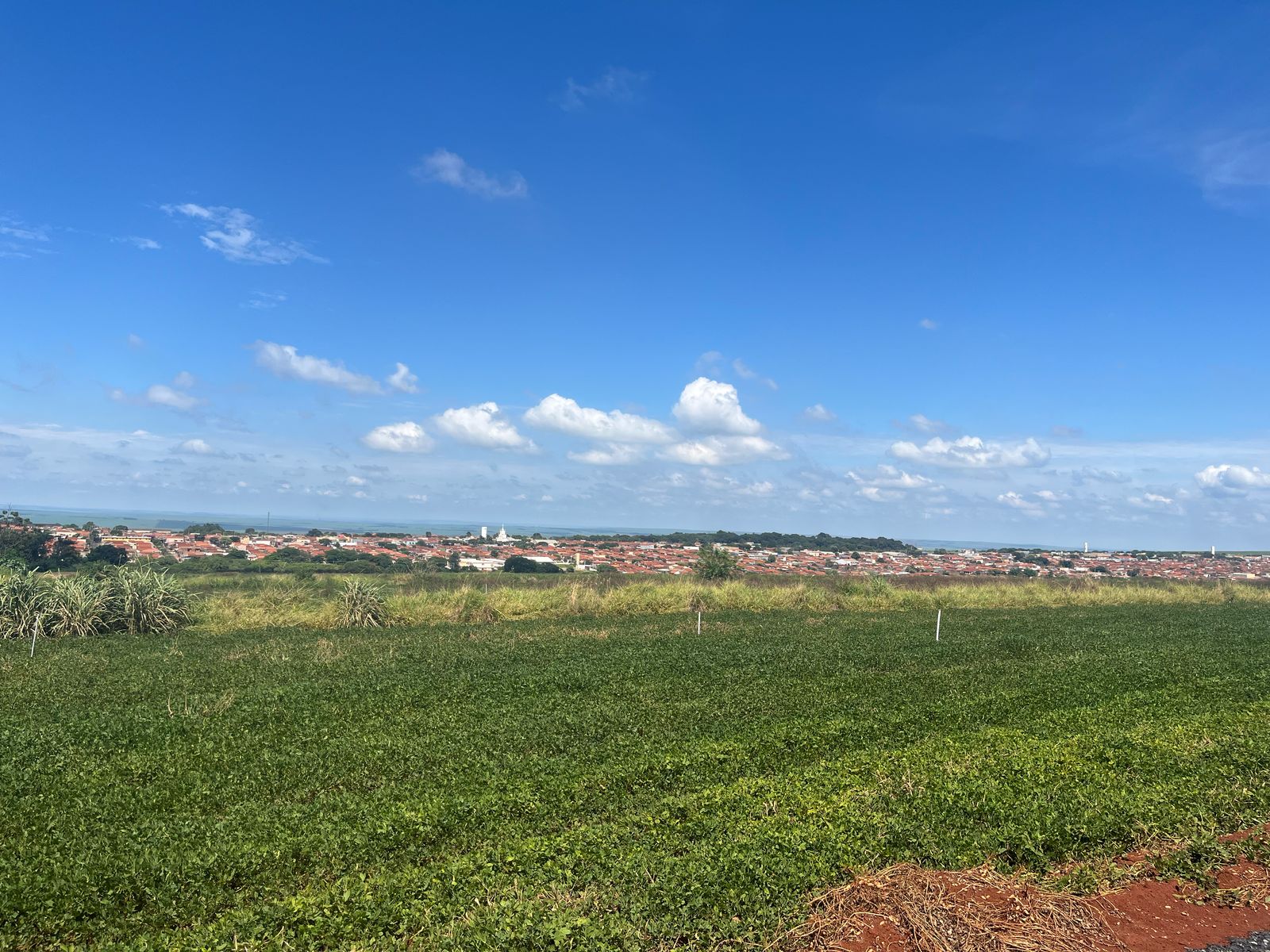 Imagem Terreno à Venda, 250 m² em Monte Carmelo - Cravinhos Imagem Terreno à Venda, 250 m² em Monte Carmelo - Cravinhos