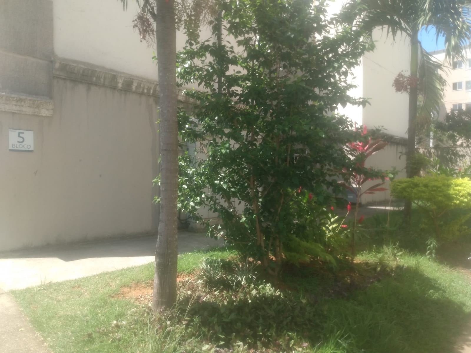Imagem Apartamento com 2 Quartos à Venda, 47 m²em Vila São João - Queimados Imagem Apartamento com 2 Quartos à Venda, 47 m²em Vila São João - Queimados