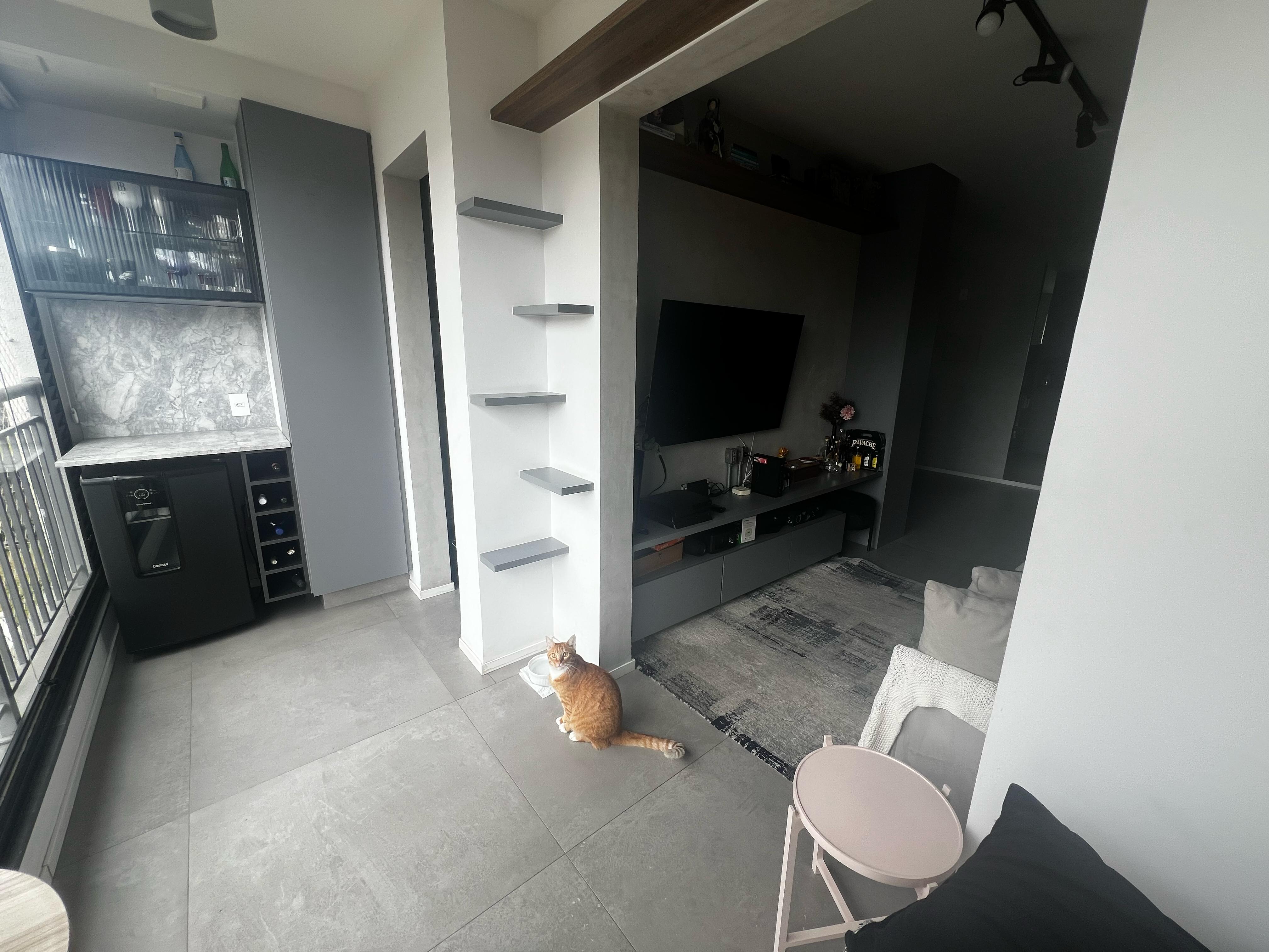 Imagem Apartamento com 3 Quartos à Venda, 69 m² em Vila das Mercês - São Paulo