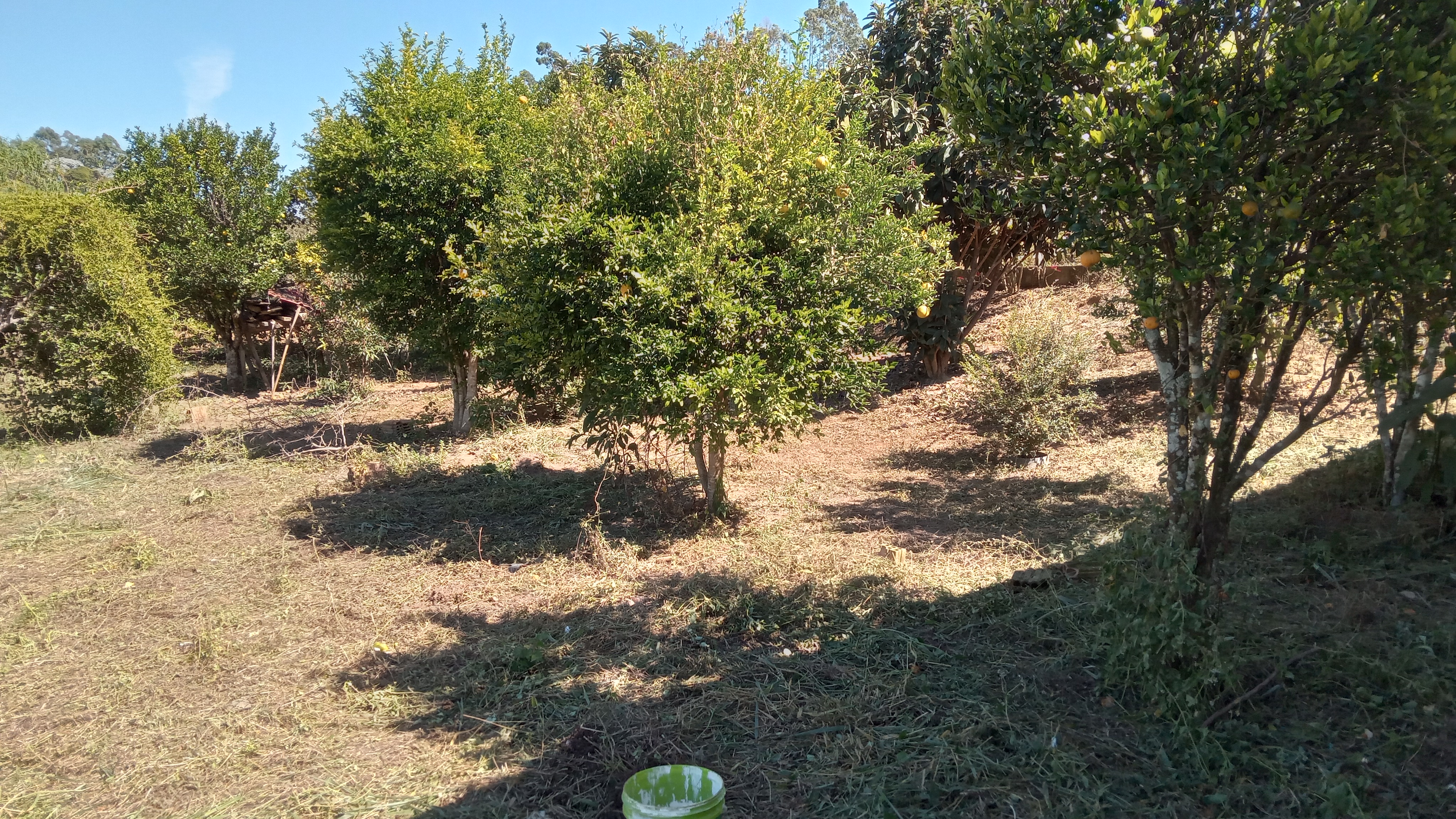 Imagem Chácara com 2 Quartos à Venda, 150 m²em JARDIM - Cunha