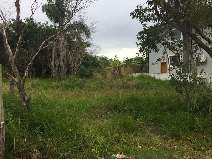 Imagem Terreno à Venda, 231 m² em Rio Vermelho - Florianópolis Imagem Terreno à Venda, 231 m² em Rio Vermelho - Florianópolis