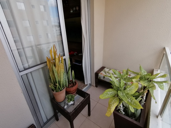 Imagem Apartamento com 2 Quartos à Venda, 58 m² em Jardim Nova Europa - Campinas
