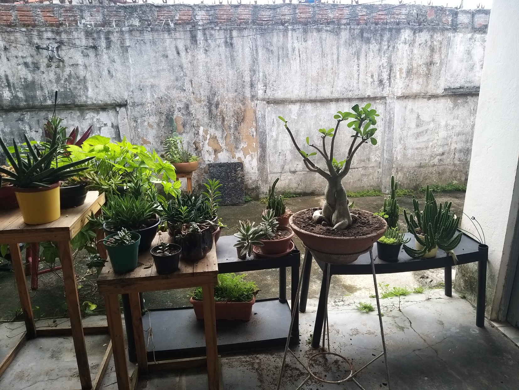 Imagem Casa com 6 Quartos à Venda, 268 m²em Várzea - Recife Imagem Casa com 6 Quartos à Venda, 268 m²em Várzea - Recife