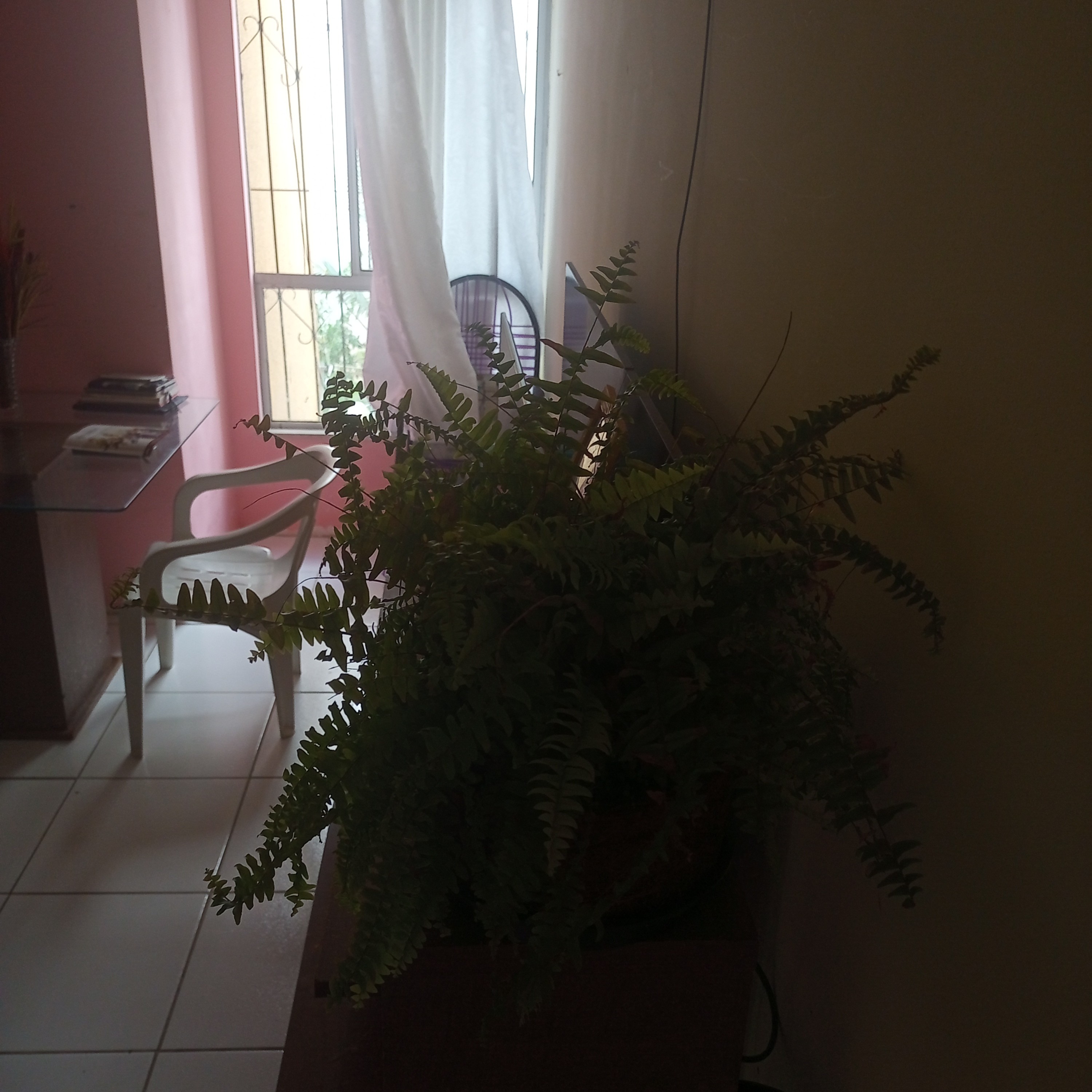 Imagem Apartamento com 2 Quartos à Venda, 51 m²em Jambeiro - Lauro de Freitas