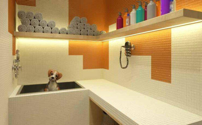 Imagem Apartamento com 2 Quartos à Venda, 53 m² em Tucuruvi - São Paulo