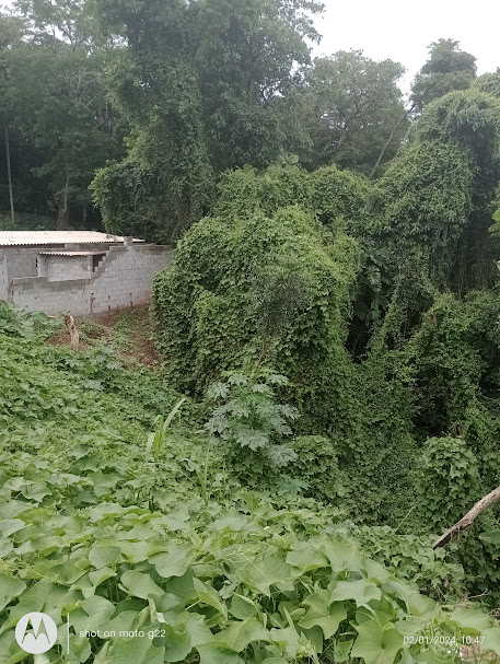 Imagem Terreno à Venda, 3 m²em Jardim Sabiá - Cotia Imagem Terreno à Venda, 3 m²em Jardim Sabiá - Cotia