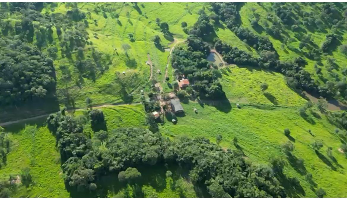 Imagem Fazenda à Venda, 32 Alq GO em SN - Caldas Novas