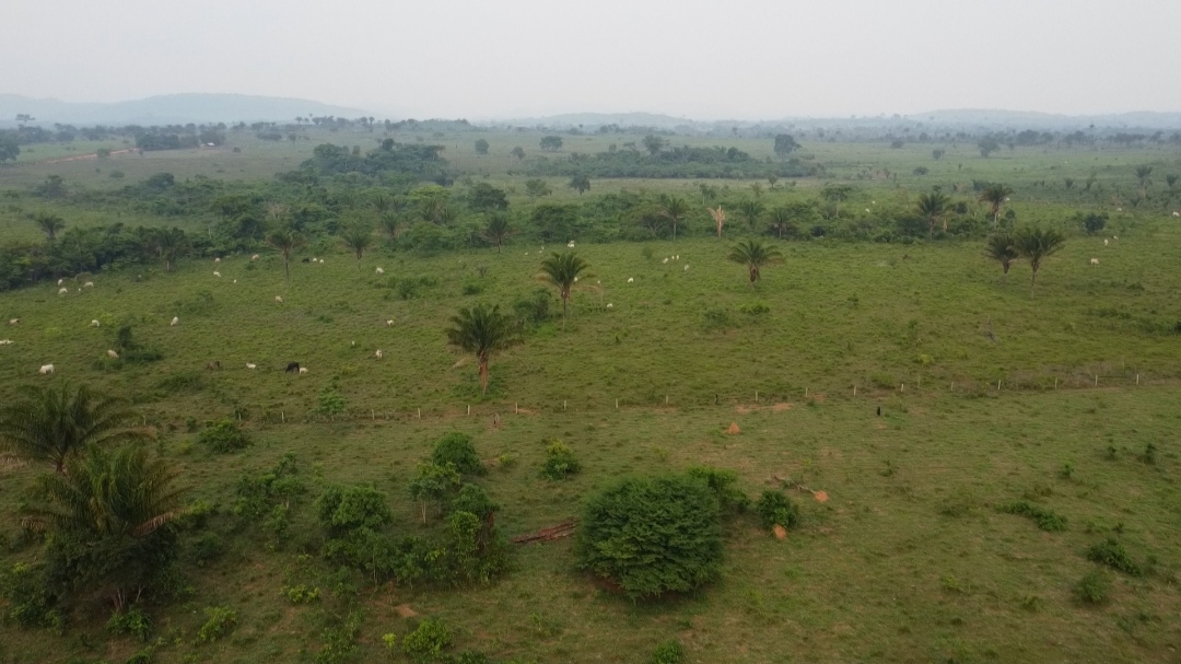 Imagem Fazenda à Venda, 1 m²em Centro  - São Félix do Xingu