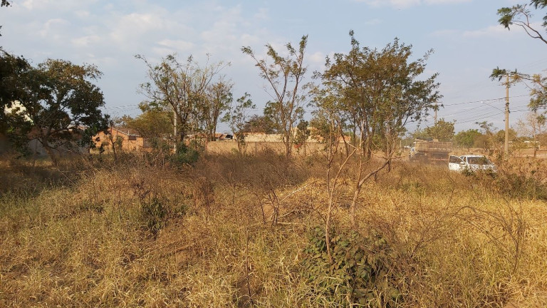 Imagem Terreno à Venda, 200 m² em Parque Novo Século - Campo Grande Imagem Terreno à Venda, 200 m² em Parque Novo Século - Campo Grande