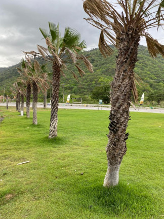 Imagem Terreno à Venda, 150 m² em Forquilha - Pacatuba Imagem Terreno à Venda, 150 m² em Forquilha - Pacatuba