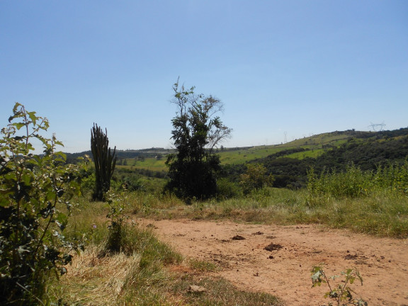 Imagem Chácara à Venda, 20.000 m² em Sousas - Campinas
