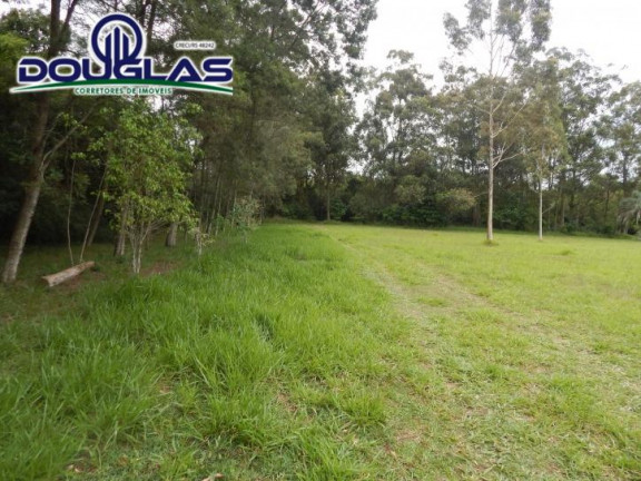 Imagem Chácara com 3 Quartos à Venda, 80 m² em Águas Claras - Viamão