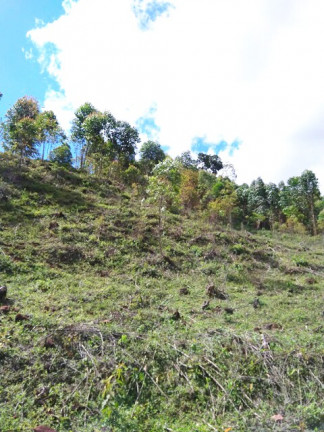 Imagem Terreno à Venda, 1.000 m² em Jardim Zaira - Mauá Imagem Terreno à Venda, 1.000 m² em Jardim Zaira - Mauá