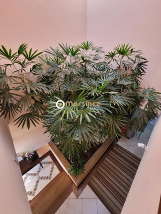 Imagem Sobrado com 3 Quartos à Venda, 400 m² em Vila Rosália - Guarulhos Imagem Sobrado com 3 Quartos à Venda, 400 m² em Vila Rosália - Guarulhos