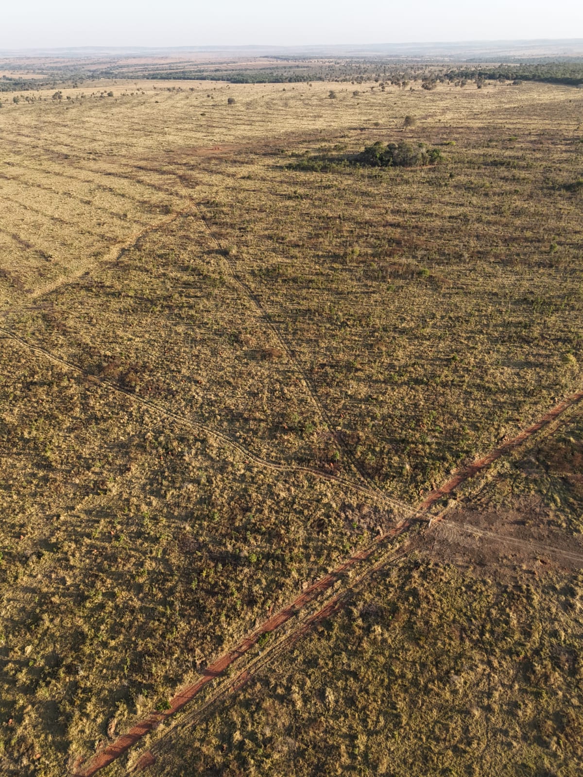 Imagem Fazenda à Venda, 119 Alq GOem ZONA RURAL - Itarumã