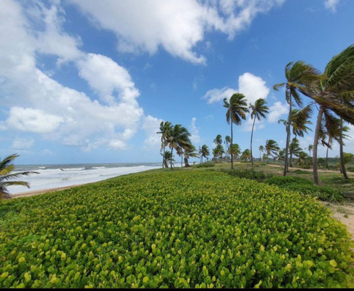 Imagem Terreno em Condomínio à Venda, 680 m²em Costa de Sauipe - Mata de São João Imagem Terreno em Condomínio à Venda, 680 m²em Costa de Sauipe - Mata de São João