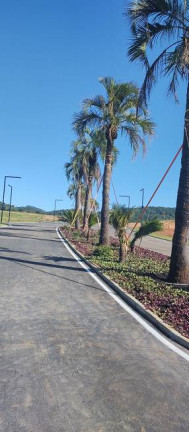 Imagem Terreno à Venda, 800 m² em São Simão - Criciúma Imagem Terreno à Venda, 800 m² em São Simão - Criciúma