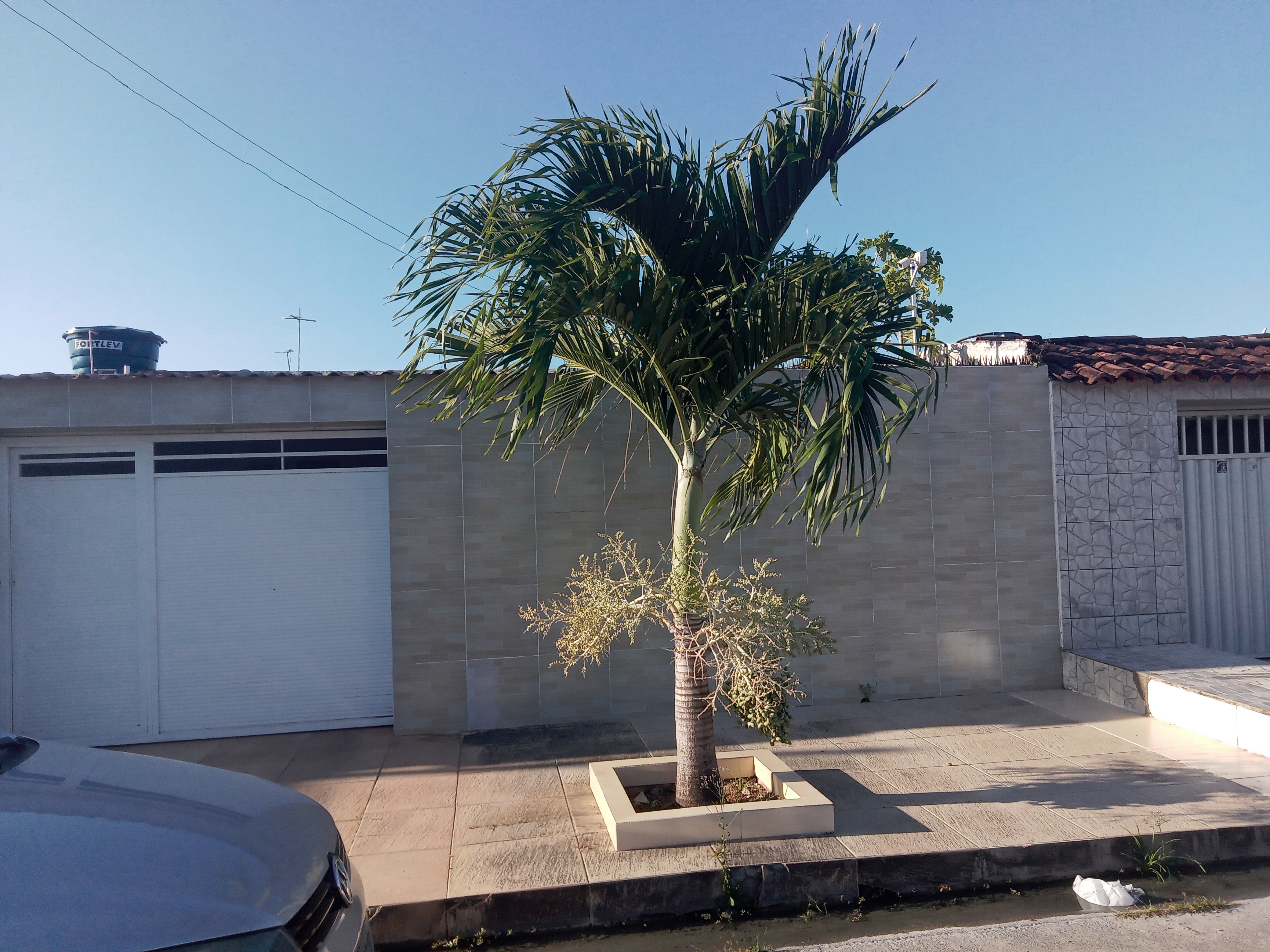 Casa com 2 Quartos à Venda, 130 m²em Cidade Universitária - Maceió