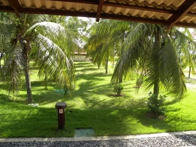 Imagem Chácara com 10 Quartos à Venda, 312 m²em Centro - Imperatriz
