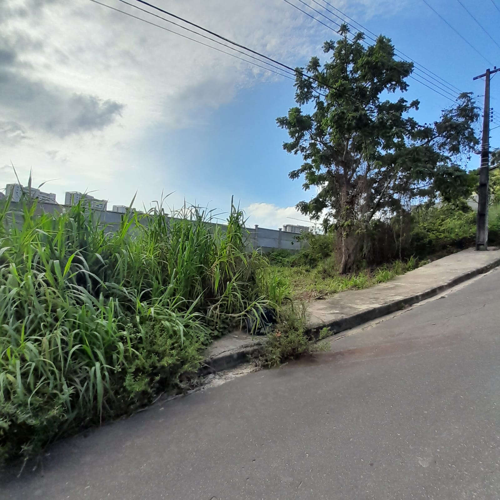 Imagem Terreno à Venda, 312 m²em Ponta Negra - Manaus