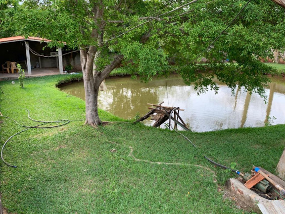 Chácara com 4 Quartos à Venda, 5.887 m² em Área Rural de Goiânia - Goiânia