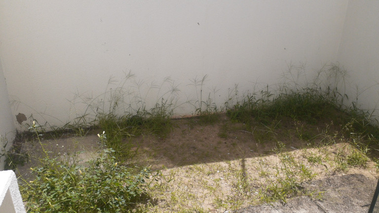 Imagem Casa de Condomínio com 2 Quartos à Venda, 77 m² em Ponta Negra - Natal