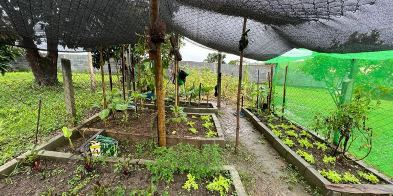 Imagem Chácara com 1 Quarto à Venda, 1.150 m² em Centro - Santa Isabel