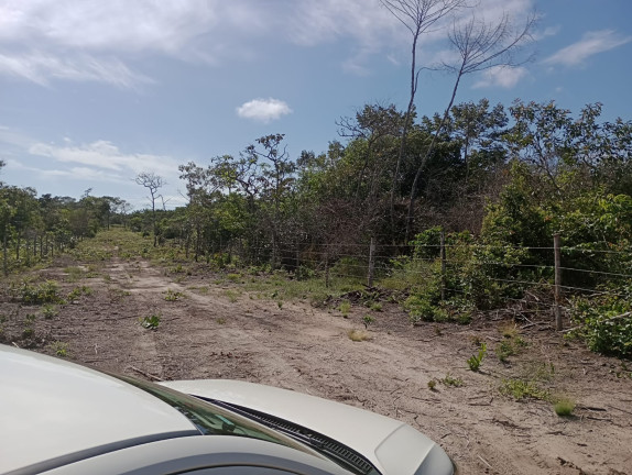Imagem Terreno à Venda, 44.200 m² em Centro - Santarém Imagem Terreno à Venda, 44.200 m² em Centro - Santarém
