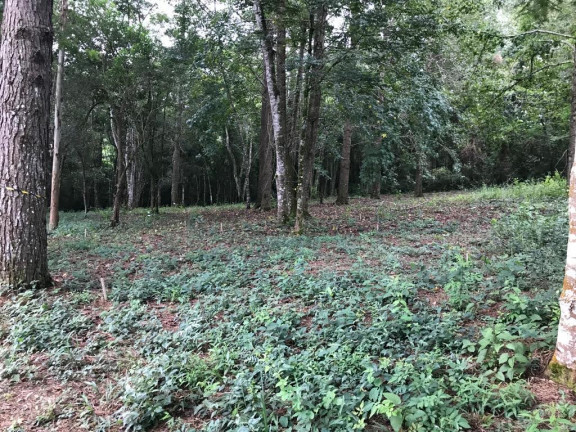Imagem Terreno em Condomínio à Venda, 1.212 m² em Caxambu - Jundiaí Imagem Terreno em Condomínio à Venda, 1.212 m² em Caxambu - Jundiaí