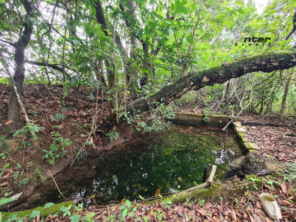 Imagem Fazenda à Venda, 24 HA em brazlandia - Brasília Imagem Fazenda à Venda, 24 HA em brazlandia - Brasília
