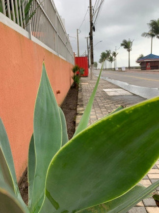 Apartamento com 2 Quartos à Venda, 59 m² em Centro - Mongaguá
