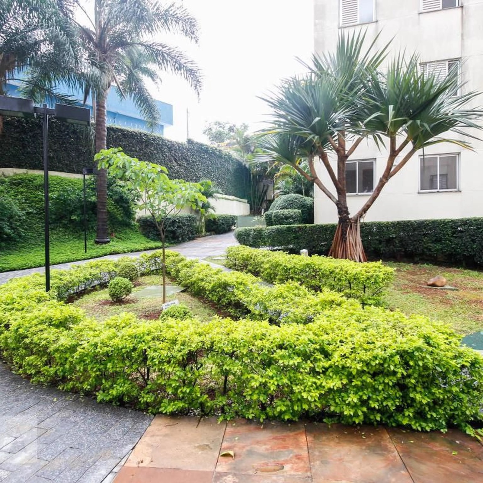 Imagem Apartamento com 2 Quartos à Venda, 49 m²em Vila Cruz das Almas - São Paulo