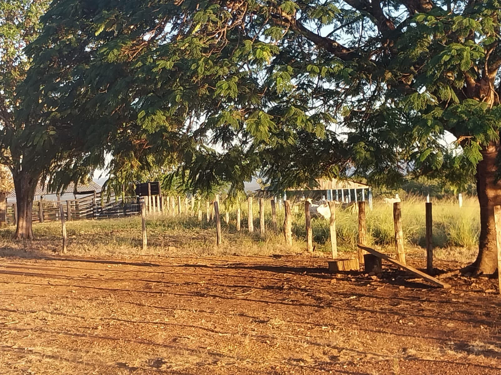 Imagem Fazenda à Venda, 353 HAem ZONA RURAL - Alto Araguaia