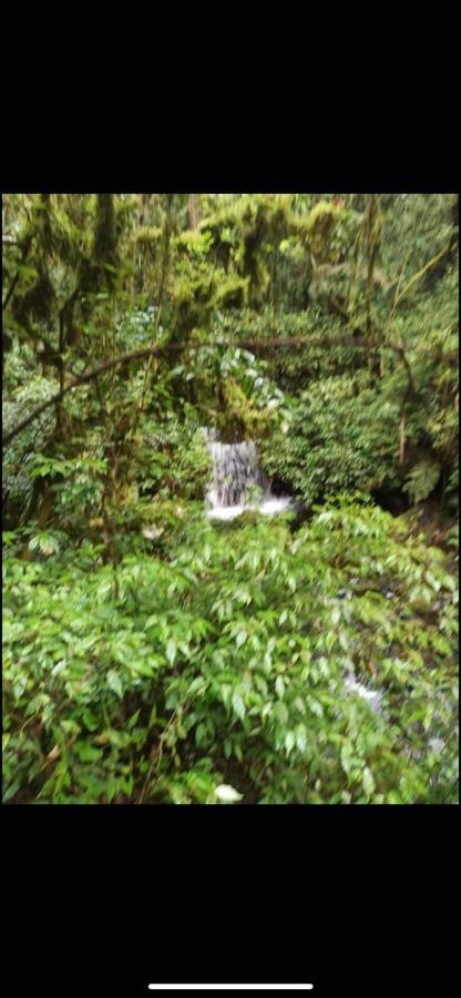 Imagem Terreno à Venda, 52 m²em Mirim doce - Mirim Doce