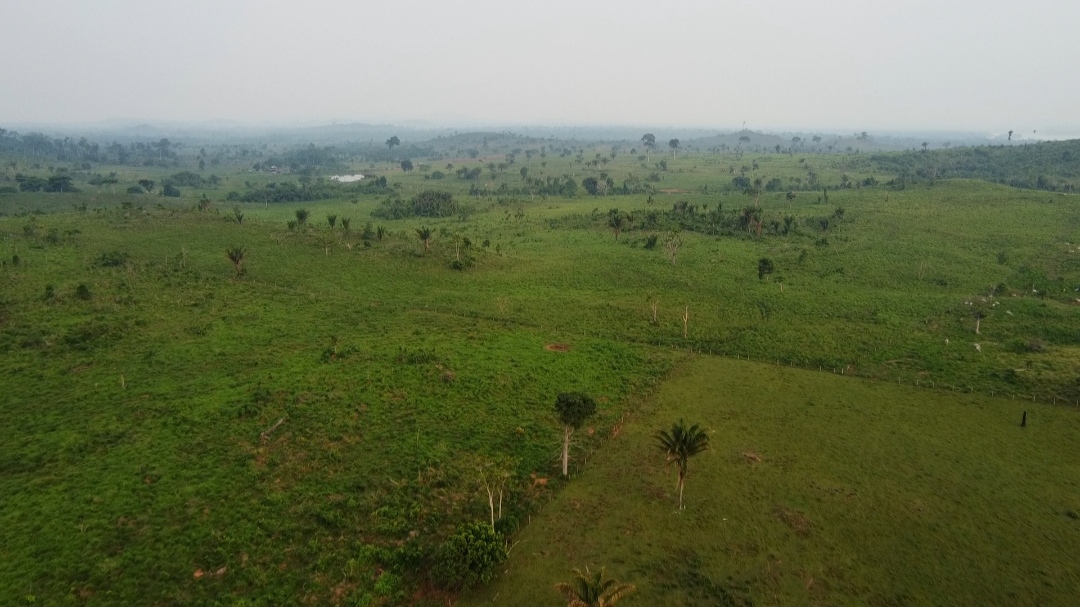 Imagem Fazenda à Venda, 1 m²em Centro  - São Félix do Xingu