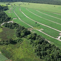 Imagem Fazenda à Venda, 100 m²em ZONA RURAL - São Miguel do Araguaia Imagem Fazenda à Venda, 100 m²em ZONA RURAL - São Miguel do Araguaia