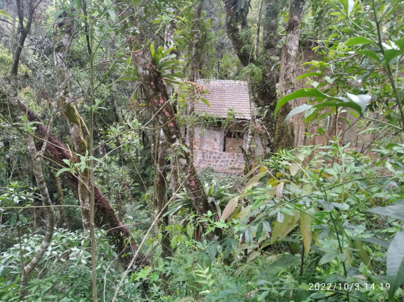 Imagem Terreno à Venda, 1.052 m² em Colinas do Imbiri - Campos do Jordão Imagem Terreno à Venda, 1.052 m² em Colinas do Imbiri - Campos do Jordão
