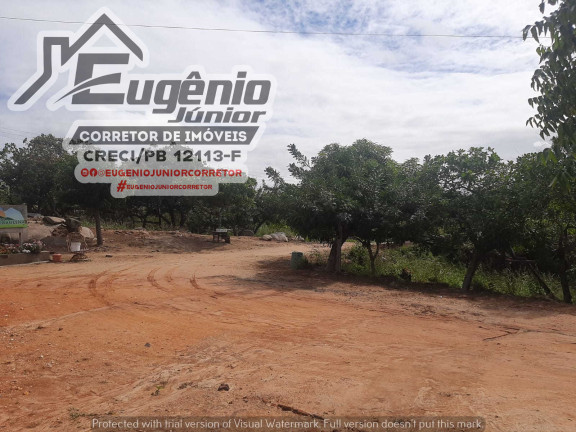 Imagem Chácara com 2 Quartos à Venda, 1.600 m² em Zona Rural - São José de Piranhas Imagem Chácara com 2 Quartos à Venda, 1.600 m² em Zona Rural - São José de Piranhas