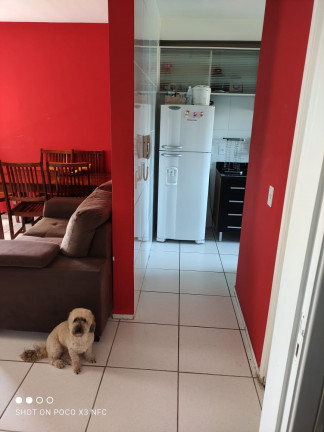 Imagem Apartamento com 2 Quartos à Venda, 52 m² em Jardim Guilhermino - Guarulhos