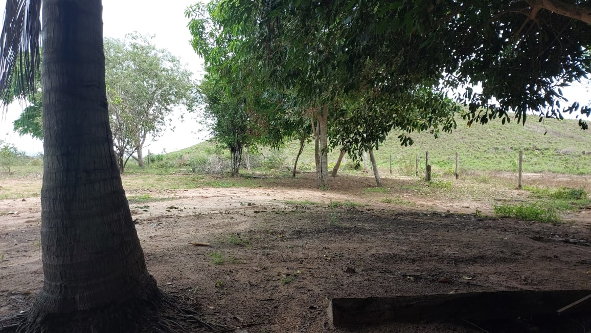 Imagem Fazenda à Venda, 9 Alq MGem Nova Marabá - Marabá Imagem Fazenda à Venda, 9 Alq MGem Nova Marabá - Marabá